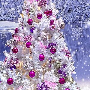 Meet your Posher, Teri